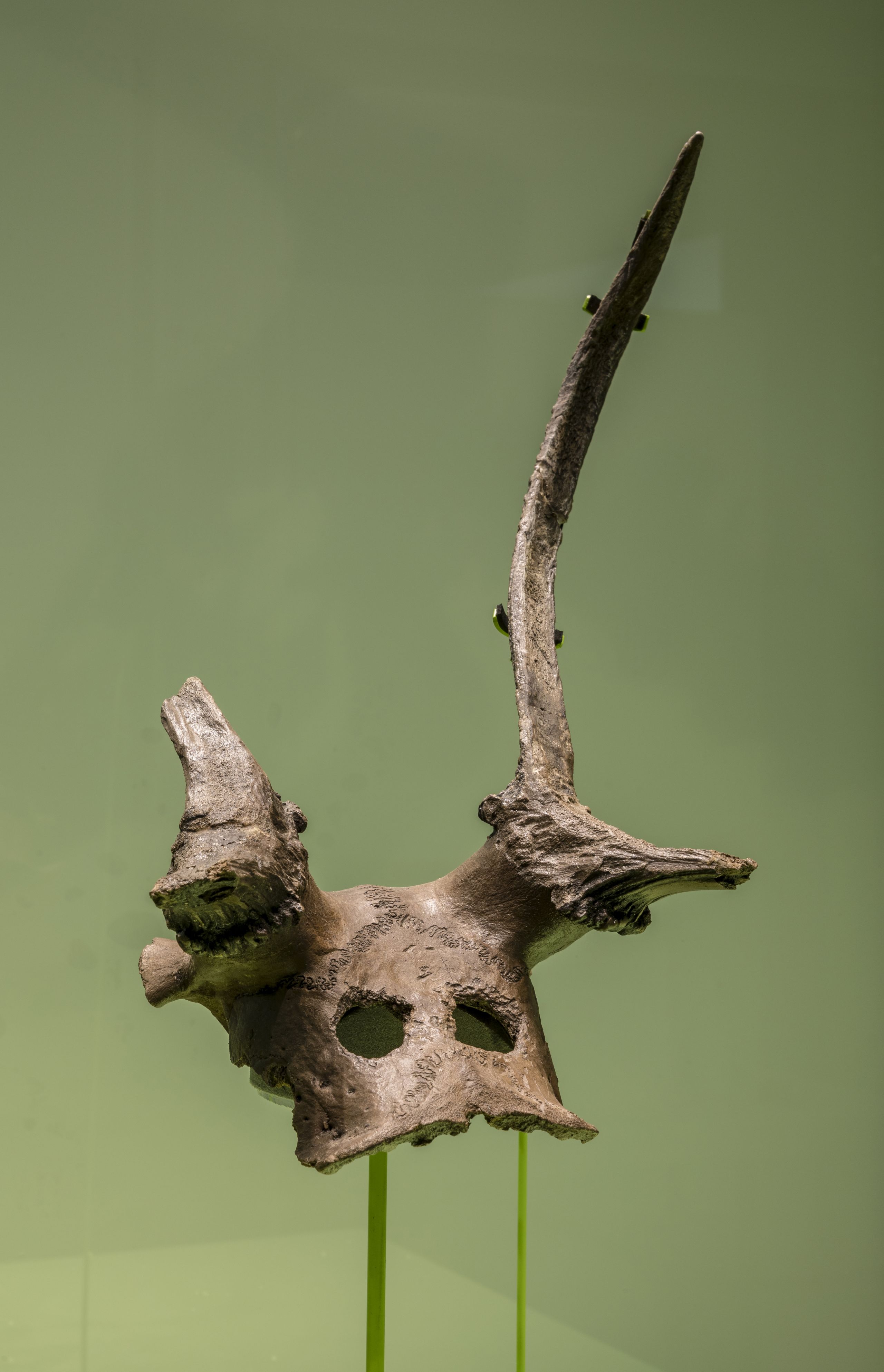 Antler headdress 