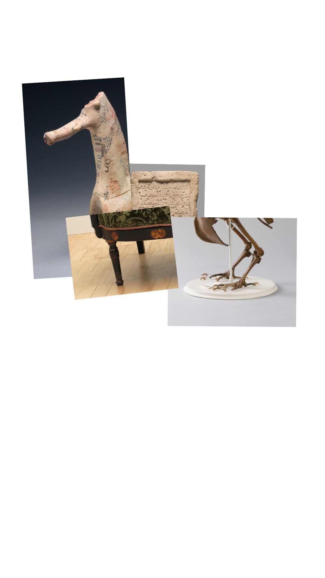 Different objects merging to create a horse like creature