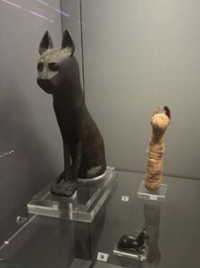 A mummified cat and other cat related artefacts in the Egyptian section of the Fitzwilliam Museum.