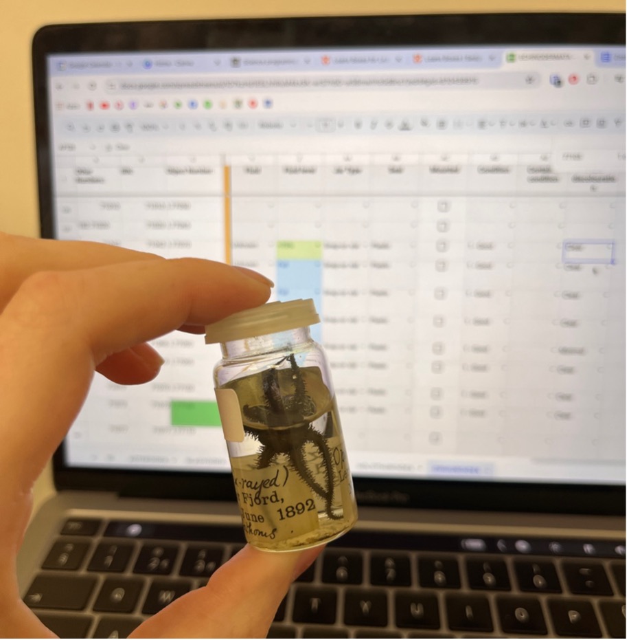 Amy holds a small jar specimen from the wet collection in front of a spreadsheet on a laptop.