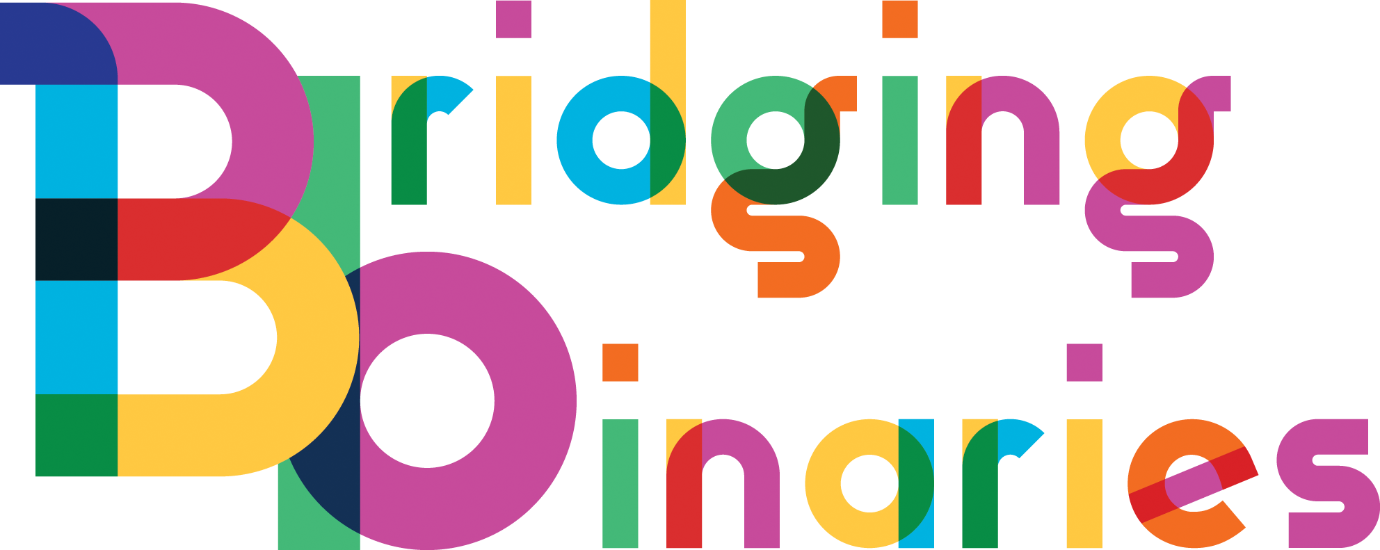 Bridging Binaries logo