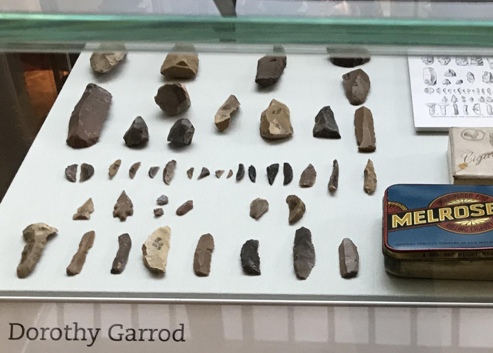 display of flints and other archaeological finds