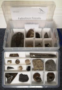 fossil loan box