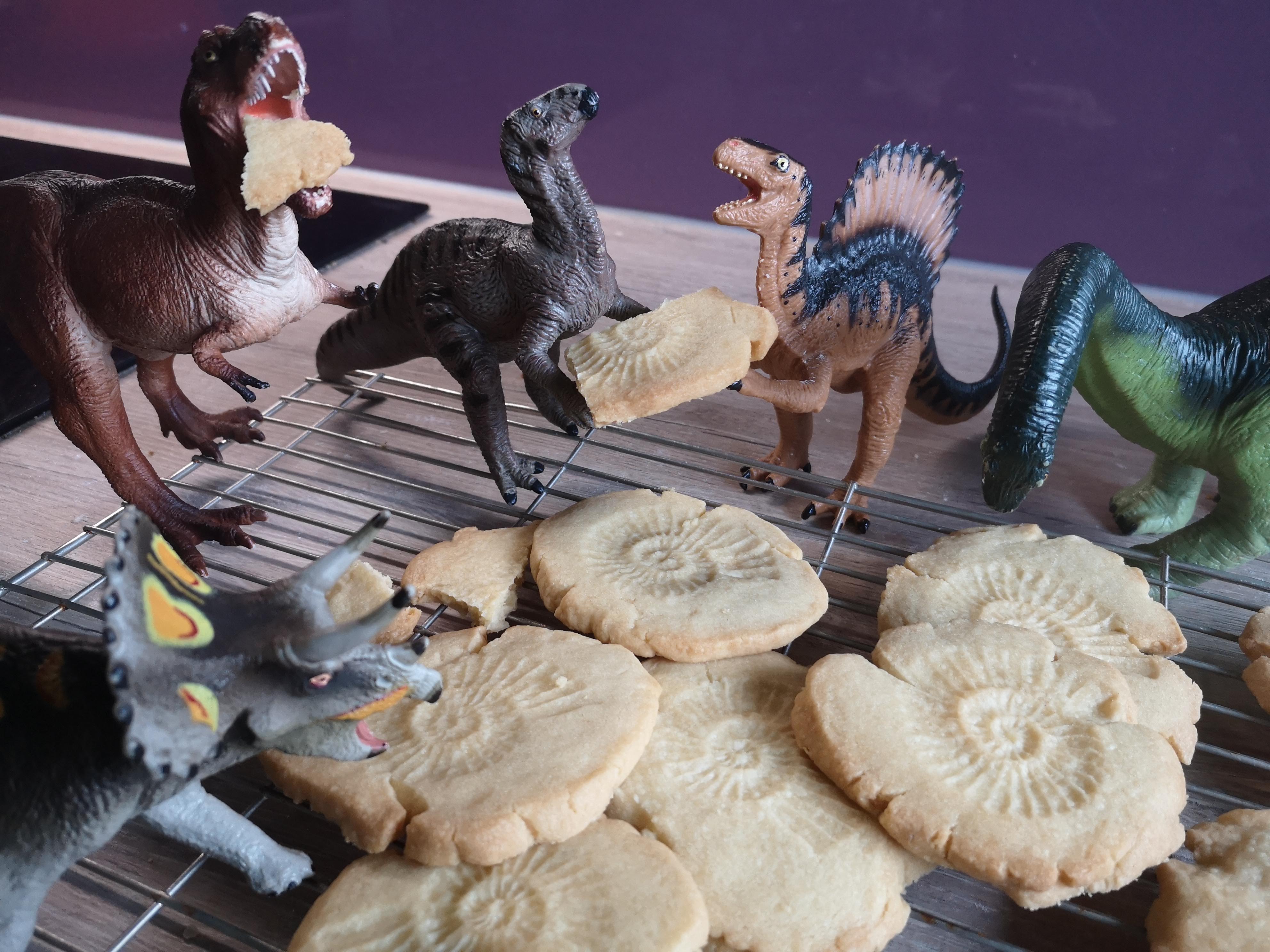 Five plastic dinosaurs around a pile of baked cookies with indented ammonite shapes baked into them. Two dinosaurs at the back are holding a piece of cookie, one has a piece in her mouth.