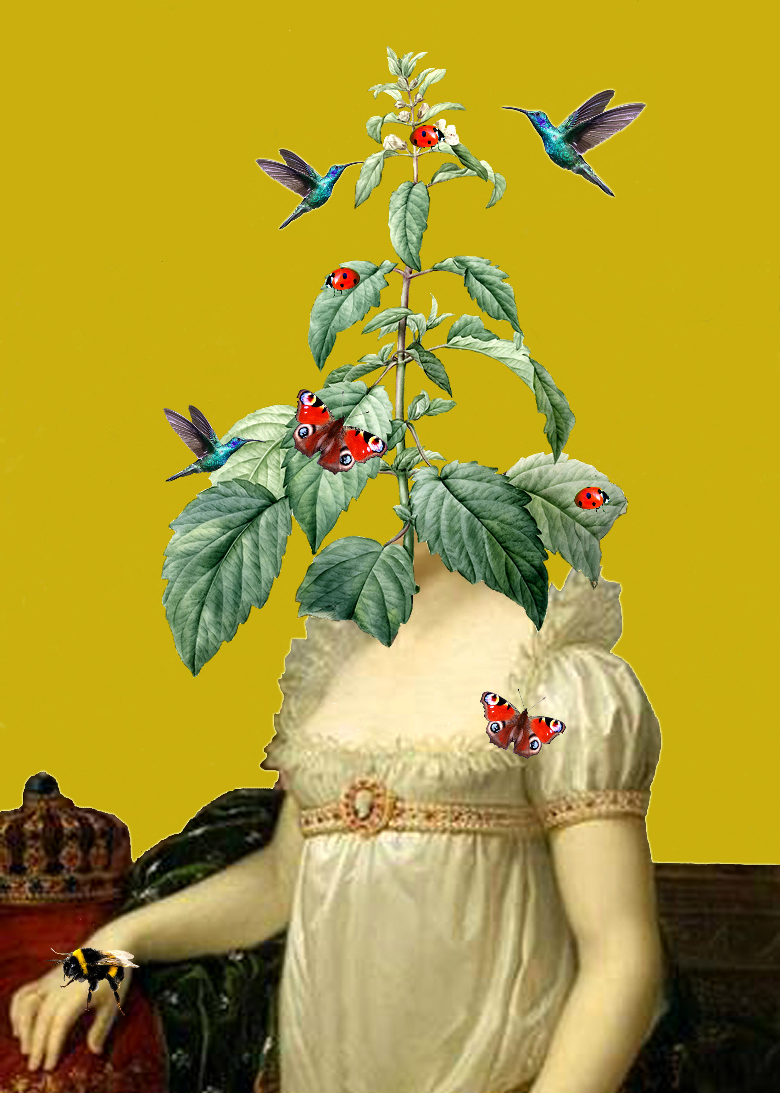This collage shows the arms and torso of the Empress Josephine spliced together with the josephine imperatricis plant, positione where her head would be. Hummingbirds, ladybirds and butterflies flutter around the plant. Josephine faces the sitter, with her right arm slightly raised in front of a golden crown. Her white silk dress has a high empire-line waist and ruffles around the square neckline. The plant has a pyramidal shape with large, serrated leaves from a central stem, and is topped with a bloom of small white flowers. 