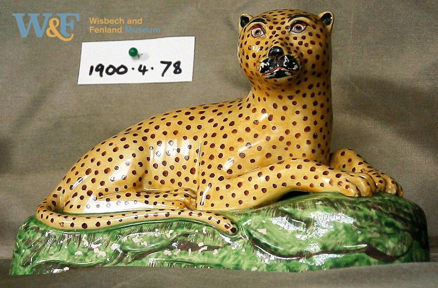 leopard model