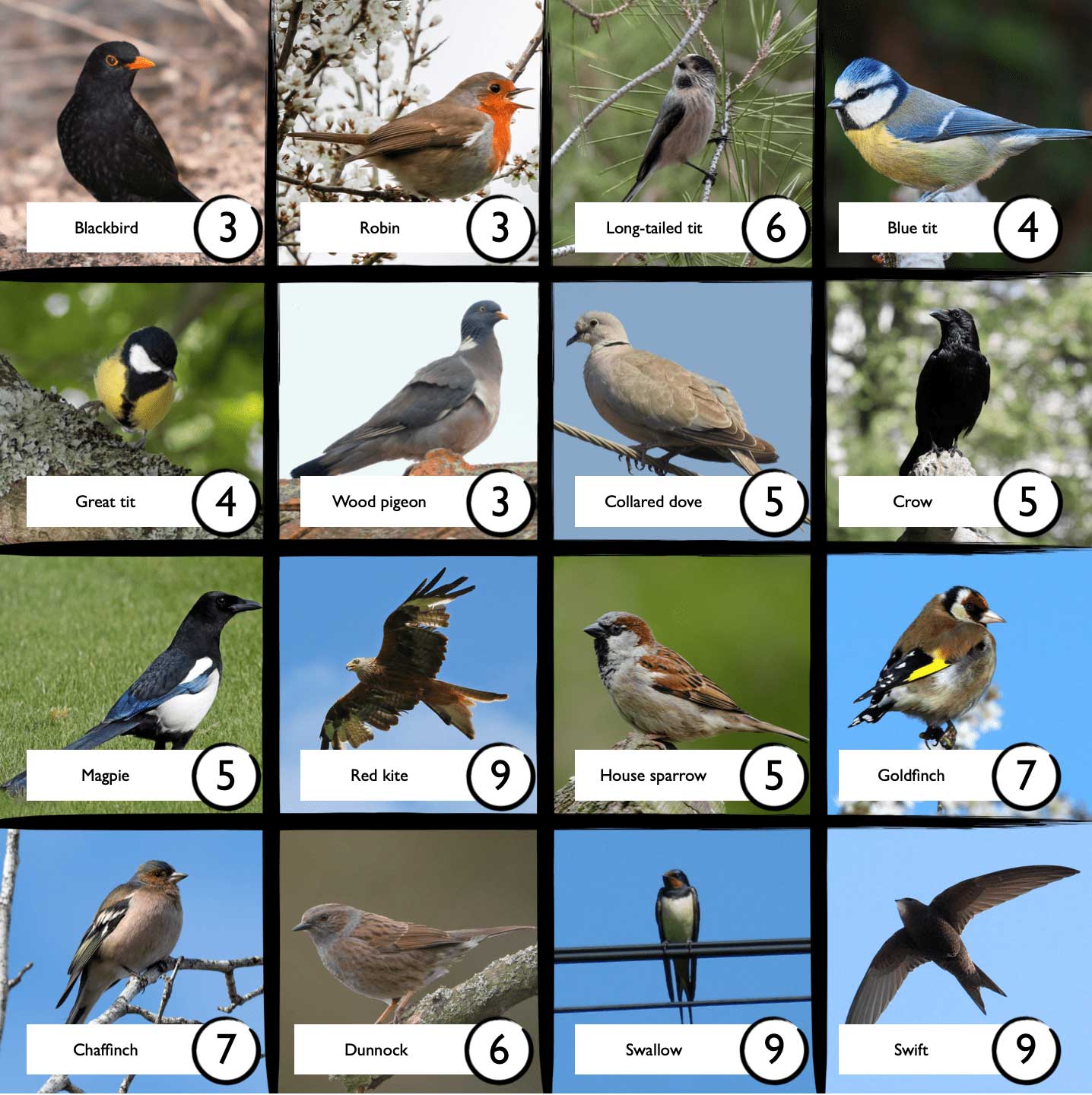 Birds on a bingo sheet