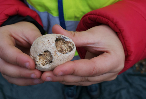 childs hands holding a flint sponge fossil