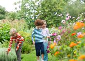 Children exploring the Botanical Gardens in summer