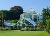 The greenhouse in the sun