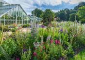 Over a colourful flowerbed, view of a glasshouse