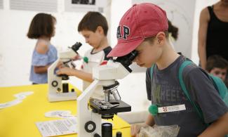 Child looking through a microscope