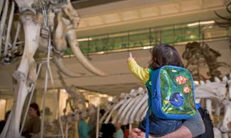 Child and adult looking at skeleton in museum