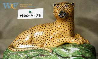 leopard model