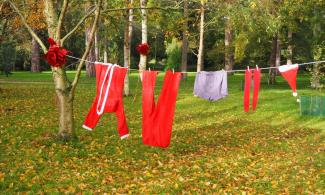 Washing line with Santa's clothes hanging on it. Trees are in the background.