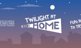 Twilight at Home banner image showing houses in silhouette and a torch logo