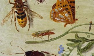 Insects and flowers painting
