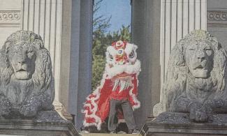 Lion dance at the Fitzwilliam Museum in 2020. Copyright Keith Heppell at Cambridge Evening News