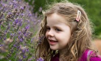 Image of girl next to lavender flowers.