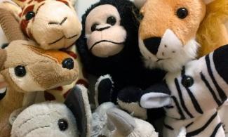 animal puppets all clustered facing the camera
