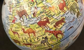 Globe with animals drawn for each country as well as the map