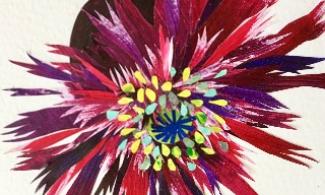 a collage poppy