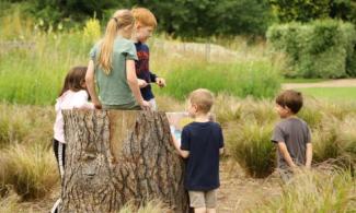 children in the Grass Maze