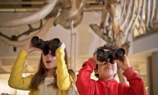 Children with binoculars in the Museum