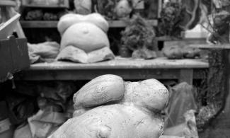 casts of Vitebsky's pregnant body in her workshop