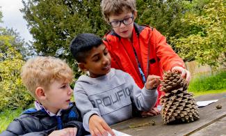 Three young boys looking at a pinecone and writing on paper