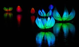 Colourful lanterns in the shape of lotuses reflect on dark water