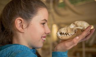 Child with dog skull in hand