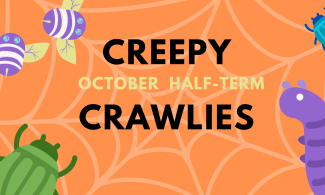 orange poster with words creepy crawlies October half term