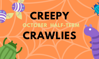 orange poster with words creepy crawlies October half term