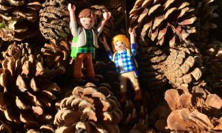 Two playmobile toy men in a pile of pinecones.