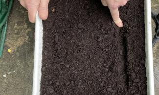 Two hands in a tray of soil