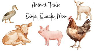 Chicken, pig, lamb illustrations