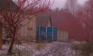 Image of building in snow surrounded by red trees. Yevheniia Laptii, Deti, 2023