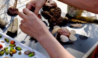 Someone who is creating a small sculpture using nature items, such as, pinecones, acorns, leaves and tree bark.