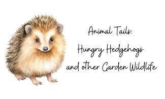 Illustration of hedgehog