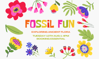 Colourful image of hand-drawn stylised flowers with the words 'Fossil Fun' in the centre of the image.