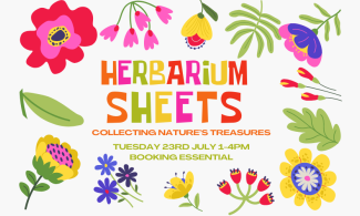 Colourful image of hand-drawn stylised flowers with the words 'Herbarium Sheets' in the centre of the image.