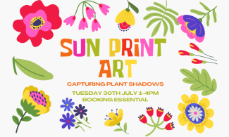Colourful image of hand-drawn stylised flowers with the words 'Sun Print Art' in the centre of the image.