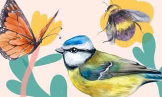 Realistic illustrations of a blue tit, bee and butterfly.