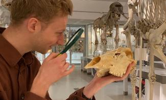 Someone looking through a magnifyer at a skull