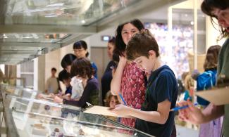 Adults and children peer into a glass cabinet within the museum of zoology. The cabinet contains different shells. Several children are pictured holding clipboards and blue pencils which they are writing and drawing on