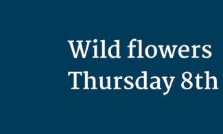 Blue banner, with text "Wild Flowers, Thursday 8th August"