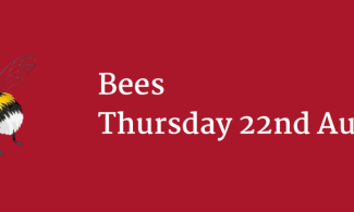 red poster wit text, "Bees, Thursday 22nd August"