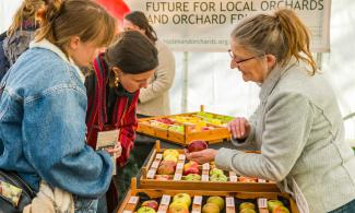 A woman shows an apple to two visitors, peering over a crate of different apple varieties.