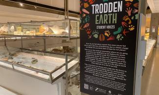 Photo of the Trodden Earth graphic panel in the Museum